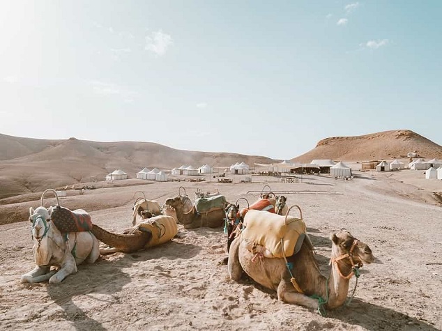 agafay desert camel riding and buggy touring 1