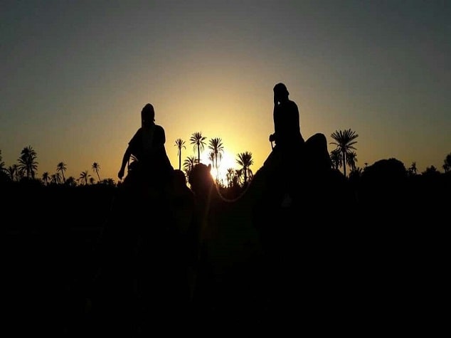 camel ride in marrakech 4