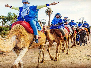 camel ride in palmeraie 4