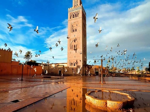 marrakech tour with local guide 3